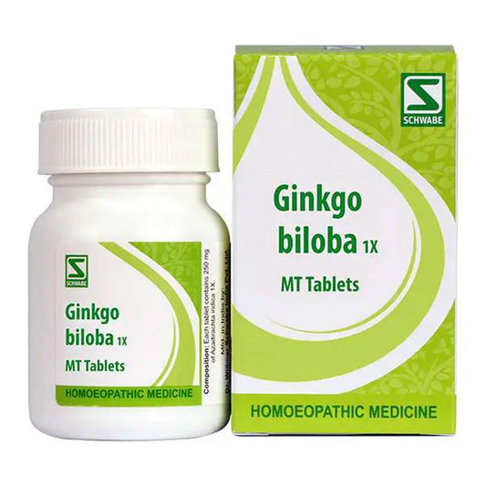 GINKGO BILOBA 1x TABLETS